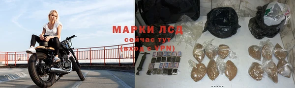 сатива Арсеньев