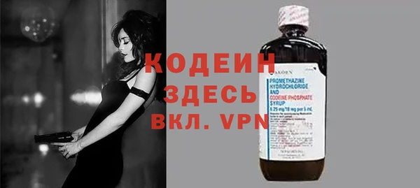 сатива Арсеньев
