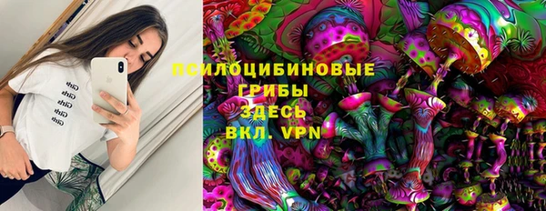 бошки Армянск