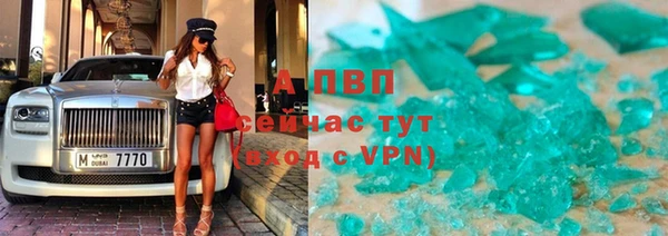 сатива Арсеньев
