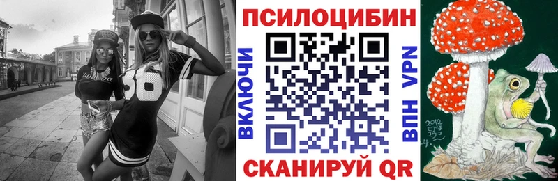 Псилоцибиновые грибы Psilocybe  Бабаево 